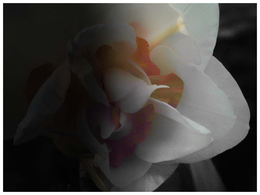 Recovering From Carelessness