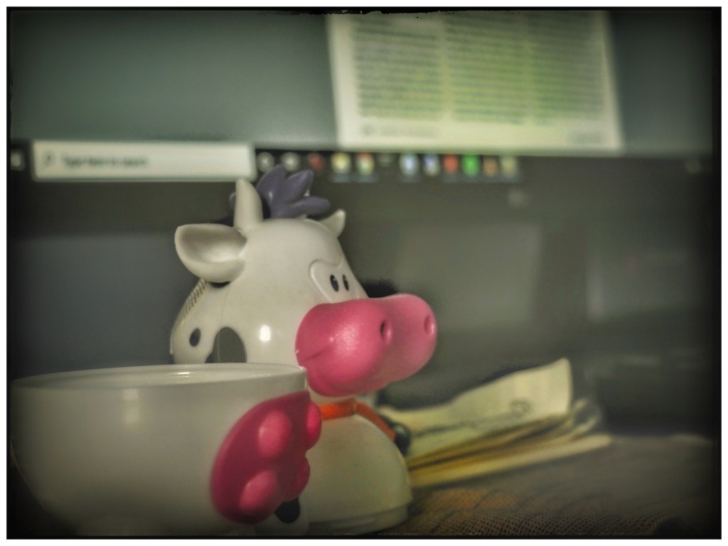 Thirteen Exercises – Part 2: I Shot that Cow Ten Times