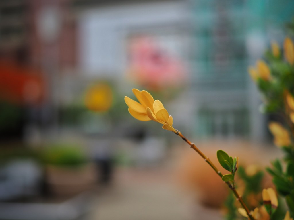 Productive Waste of&nbsp;Time